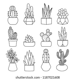 Cartoon line style cactus and succulents vector set. Decirative flowers and plants in pots. Isolated icons illustration