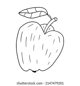 Cartoon linear doodle retro apple with leaf isolated on white background.     