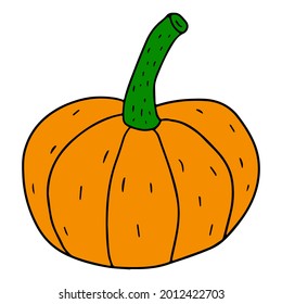 Cartoon linear doodle retro pumpkin isolated on white background. Harvest icon. 