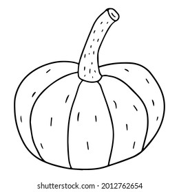 Cartoon linear doodle retro pumpkin isolated on white background. Harvest icon. 