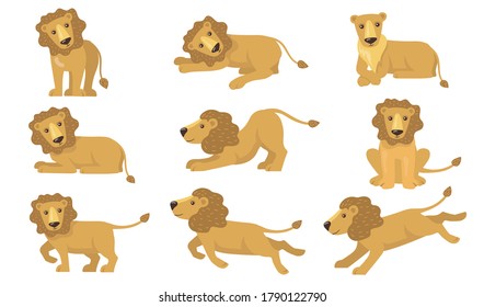 Cartoon lion actions set. Funny yellow animal with tail standing, lying, playing, running, hunting. Vector illustration for feline, safari, pride, Africa concepts