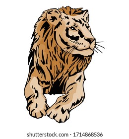 Cartoon Lion Animal Vector Illustration Template Design Collection