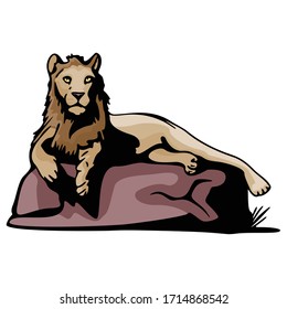 Cartoon Lion Animal Vector Illustration Template Design Collection