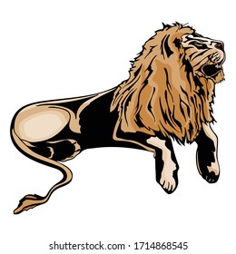 Cartoon Lion Animal Vector Illustration Template Design Collection