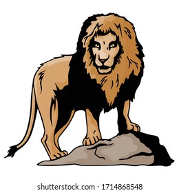 Cartoon Lion Animal Vector Illustration Template Design Collection