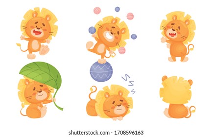 Cartoon Lion Cub Playful Character With White Teeth And Thick Mane Vector Set