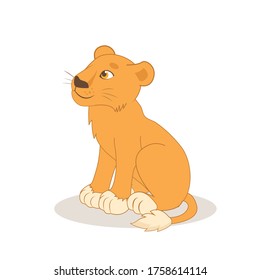 Cartoon lion sitting on the white background. Cute happy young  kind lioness vector illustration. Animals character.