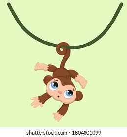 Cartoon little brown monkey on a vine and a solid background