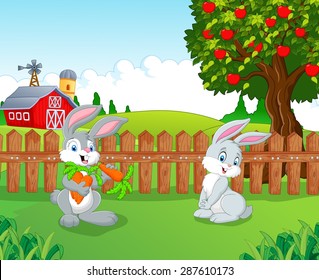 Cartoon little bunny in the farm