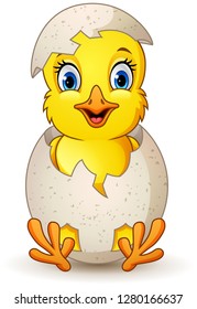 cartoon little chick with egg