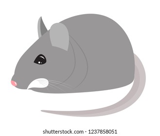 Cartoon little chubby gray mouse. Vector illustration