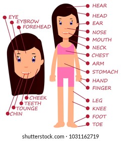 Cartoon little cute girl. Vocabulary of human body parts. 