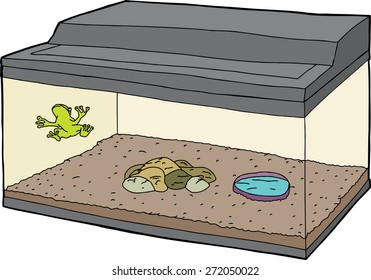 Cartoon of little frog on wall in aquarium