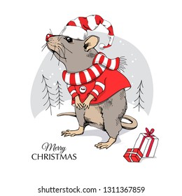 Cartoon Little Mouse in a red Santa's cap, dress, striped scarf and with a gifts. Christmas and New Year card, t-shirt composition, handmade vector illustration.