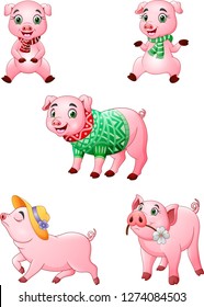 Cartoon little pigs collection with different posing