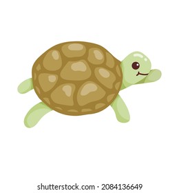 Cartoon little turtle, vector graphics isolated on white background.