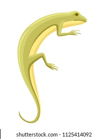 Cartoon lizard character. Small olive lizard. Animal logo design, flat icon. Vector illustration isolated on white background.