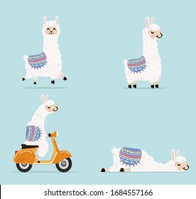 Cartoon llama and alpaca character set