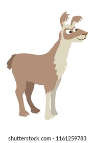 Cartoon llama illustration