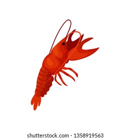 Cartoon lobster on white background. Crayfish concept.