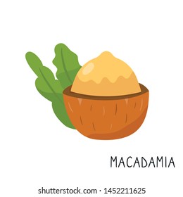 Cartoon macadamia isolated on white background.