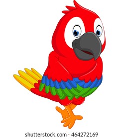 Cartoon macaw