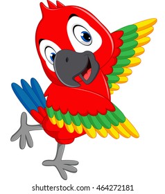 Cartoon macaw