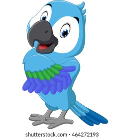 Cartoon macaw