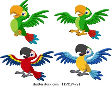 Cartoon macaw collection set