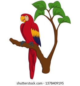 Cartoon macaw on tree branch