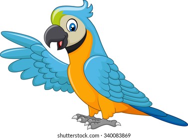 Cartoon macaw presenting isolated on white background