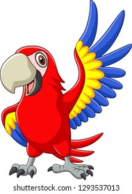 Cartoon macaw waving