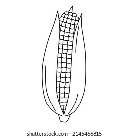 Cartoon maize ear coloring page. Vector illustration of mature corn. Black and white corn cob for coloring book