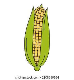 Cartoon maize ear. Vector illustration of mature corn isolated on white background. Colorful corn cob