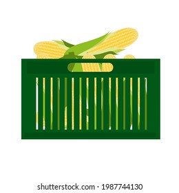 Cartoon of maize inside a plastic box. A maize or corn illustration. Vegetable market concept.