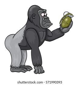 Cartoon male of gorilla  in perplexity is looking at the grenade in his hand. Funny cartoon character