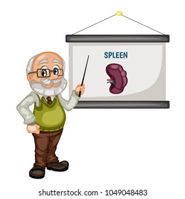 Cartoon Male Teacher Showing Internal Organs on White Board. Vector Illustration of a Spleen
