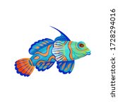Cartoon a mandarin fish on a white background. Vector illustration. 