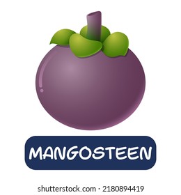 cartoon mangosteen fruit vector isolated on white background