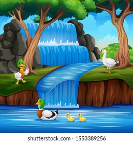 Cartoon many ducks playing on the waterfall