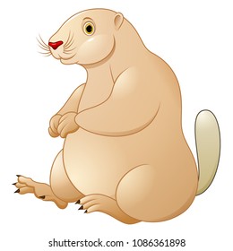 Cartoon marmot funny and cute, Pets children background white illustration vector
