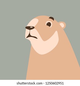 cartoon marmot ,vector illustration ,flat style,  front view