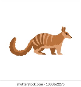 Cartoon marsupial anteater, nambat on a white background.Flat cartoon illustration for kids.