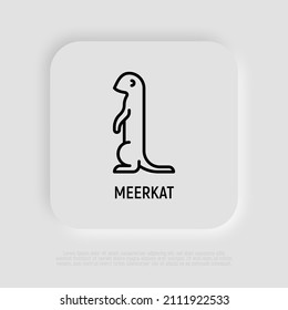 Cartoon meerkat thin line icon. Modern vector illustration of suricate.