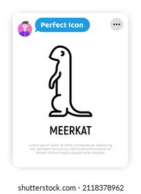 Cartoon meerkat thin line icon. Modern vector illustration of suricate.
