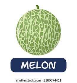 cartoon melon fruit vector isolated on white background