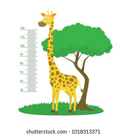 Cartoon Meter Wall with Giraffe and Tree Green Card Poster Height Sticker Concept Flat Design Style. Vector illustration