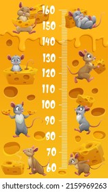 Ratones de caricatura y maquetas personajes con queso. Gráfica de altura de los niños. Antecedentes de la escala de centímetros de crecimiento infantil o gráfico de altura del vector de niños, pegatina de crecimiento de niños con mástiles divertidos, piezas de queso suizo