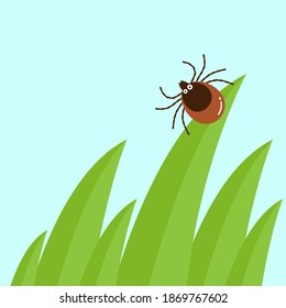 Cartoon Mite In The Tall Green Grass Flat Vector Illustration, Mite Hiding In The Grass, Tick-borne Mite Color Icon, Danger Tick Bug In Nature Grass