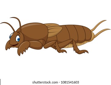 Cartoon mole cricket